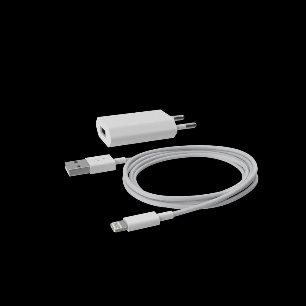 Apple iPhone Charger
